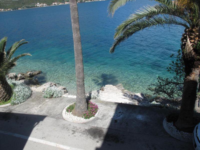 Apartments Jasmina Korčula Chambre photo